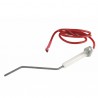 Electrodo de ionización 9522801 - ATLANTIC : 124375