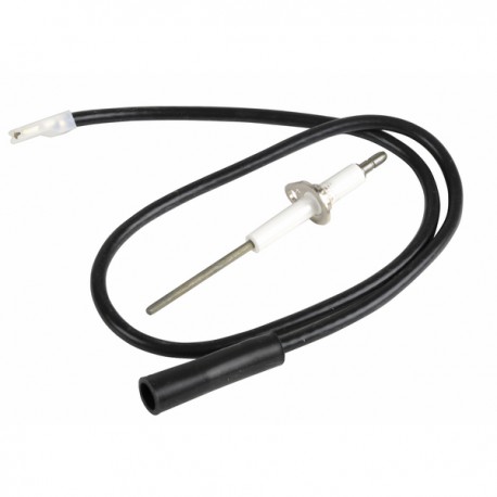 Electrodo de ionización Sunag 4000 - ATLANTIC : 124396