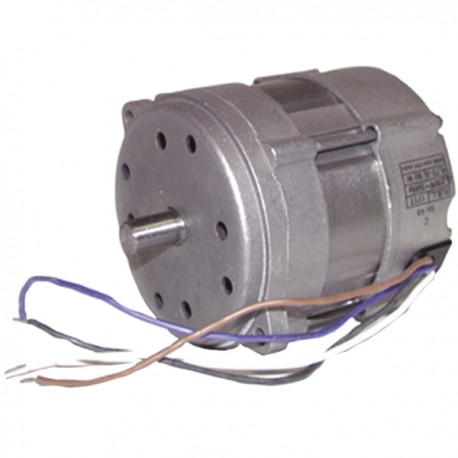 Motor  - RIELLO : 3008451