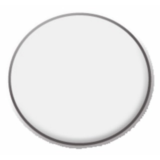 Vidrio visor r100385 - RIELLO : 4048319
