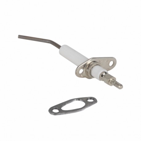 Electrodo de ionización - RIELLO : 4R102325