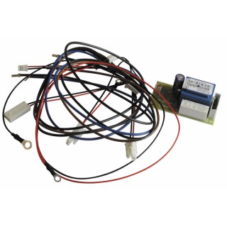 Circuito impreso ánodo electrico - CHAFFOTEAUX : 925348-01