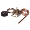 Acuastatos de seguridad con bulbo TR2 30/90°