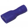 Terminal PTFE hembra aislado Ø6.35  (X 50)