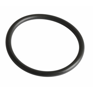 Junta R36 vitón (sensor V97) - FRISQUET : 240134