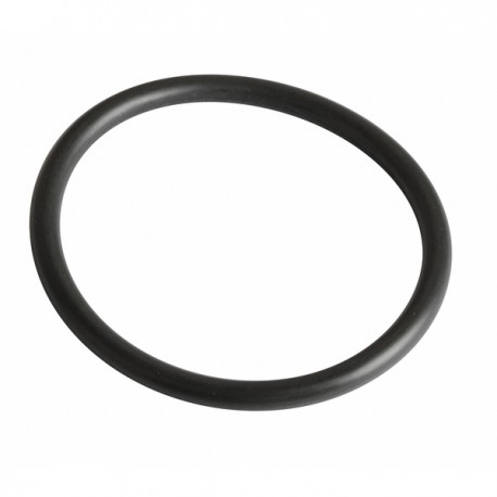 Junta R36 vitón (sensor V97) - FRISQUET : 240134