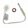 Electrodo de encendido - FERROLI : 39810640