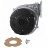 Ventilador NRG118 EBM - 39821580 - FERROLI : 39821580