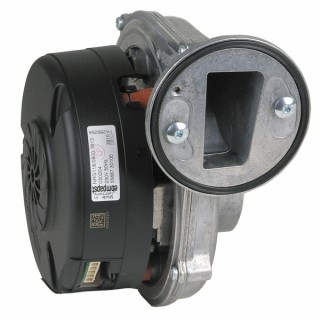 Ventilador ECOCONCEPT - FERROLI : 39828060