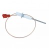 Electrodo ioniz. cplto gb112/122/022k - GEMINOX : 7100238