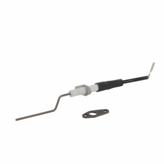 Electrodo de ionización - CHAPPEE : SRN692366