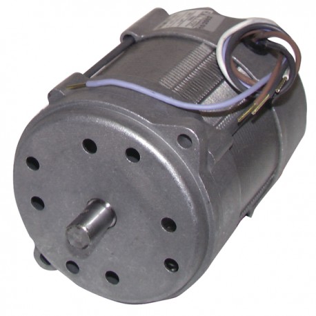 Motor 150W p/15M/20M - RIELLO : 3005820