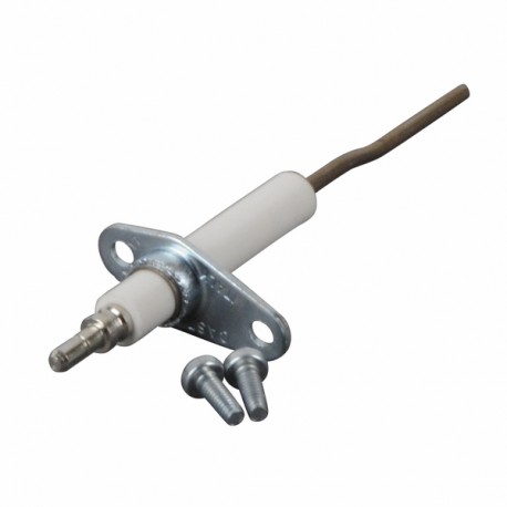 Electrodo de ionización D9.5 H50 P6 - COSMOGAS : 62632048