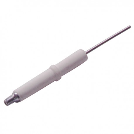 Electrodo