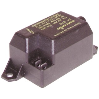 Transformador de encendido E3713 - ELSTER SAS : 708637