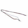 Cableado valvula gas - CHAFFOTEAUX : 65116580