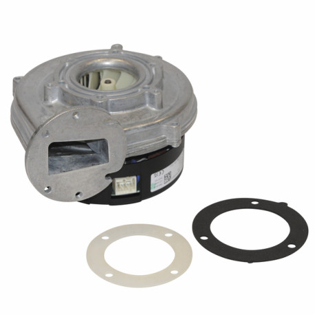 Extractor NRG118 - DE DIETRICH CHAPPEE : 768062100