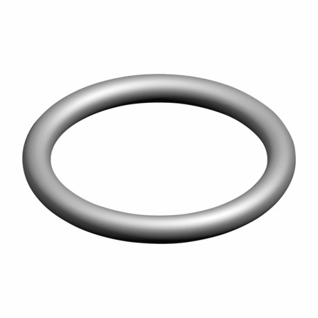 Anillo tórico  (X 10) - ELM LEBLANC : 87002051470