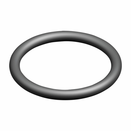 Anillo tórico (X 5) - ELM LEBLANC : 87167622050