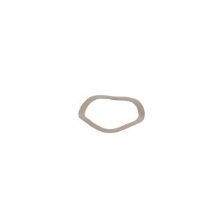 Arandela elástica acero inoxidable - GEMINOX : 87168006920