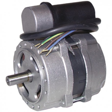 Motor quemador - Modelo 60 .2.125.32M - DIFF para Perge : 990038