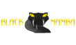 BLACK MAMBA